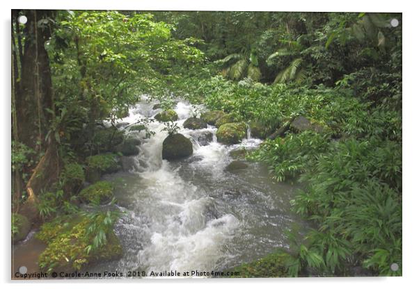 Sarapiqui River   Acrylic by Carole-Anne Fooks