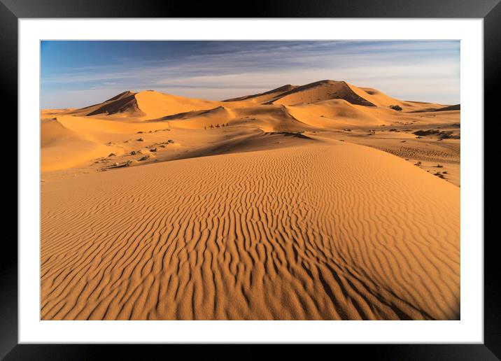 Camel caravan in the Sahara Framed Mounted Print by peter schickert