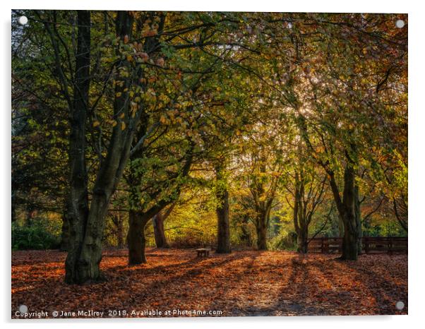 Autumn Sunlight Acrylic by Jane McIlroy