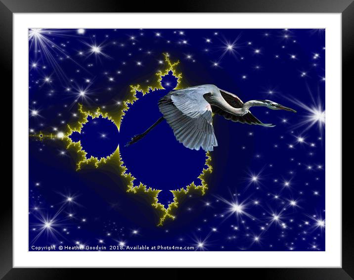 Ultimate Flight Framed Mounted Print by Heather Goodwin