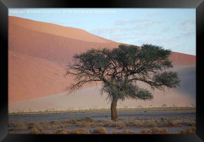Soletary tree in the Namibian desert Framed Print by Damien Zasikowski