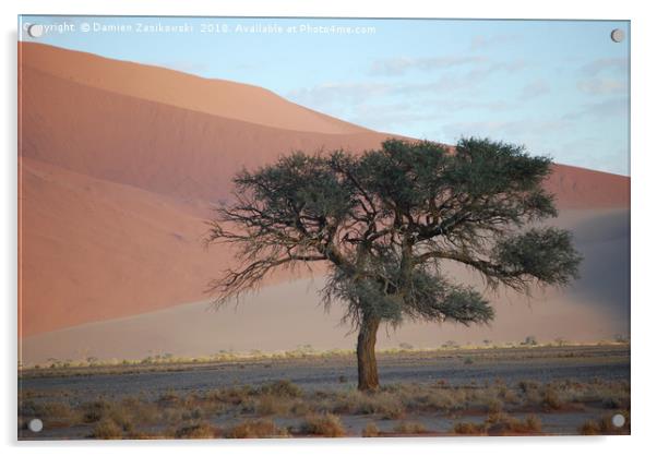 Soletary tree in the Namibian desert Acrylic by Damien Zasikowski