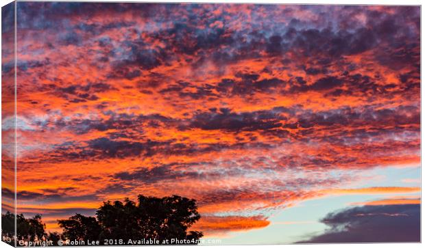 Fire in the Sky at Sunset Canvas Print by Robin Lee