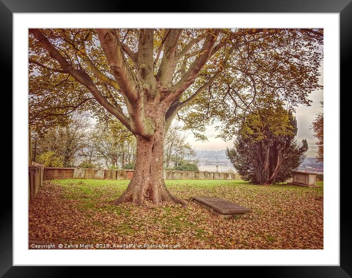 Solitary Tree in the Cemetery in Backfields overlo Framed Mounted Print by Zahra Majid