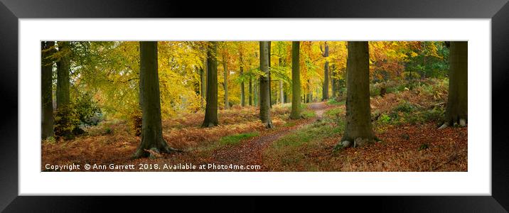 Autumn Path on Cannock Chase Framed Mounted Print by Ann Garrett