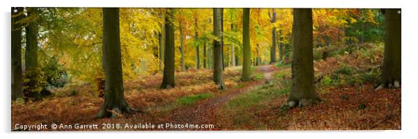 Autumn Path on Cannock Chase Acrylic by Ann Garrett