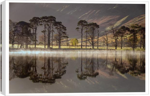 Buttermere Pines Canvas Print by Paul Andrews