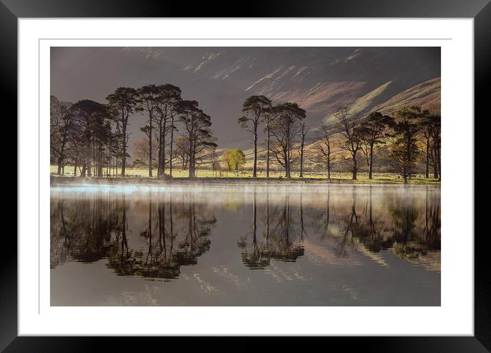 Buttermere Pines Framed Mounted Print by Paul Andrews