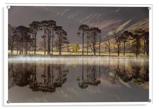 Buttermere Pines Acrylic by Paul Andrews