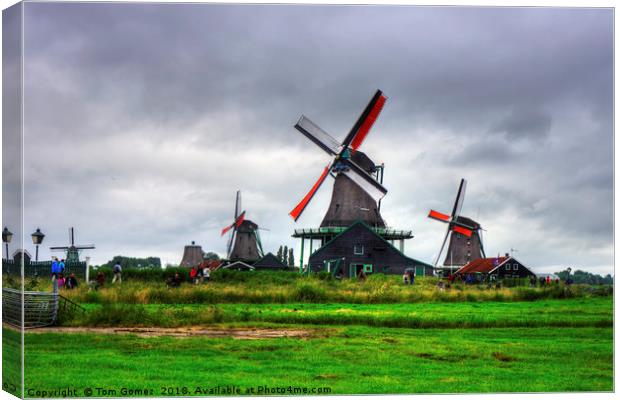 Zaanse Schans Windmills Canvas Print by Tom Gomez