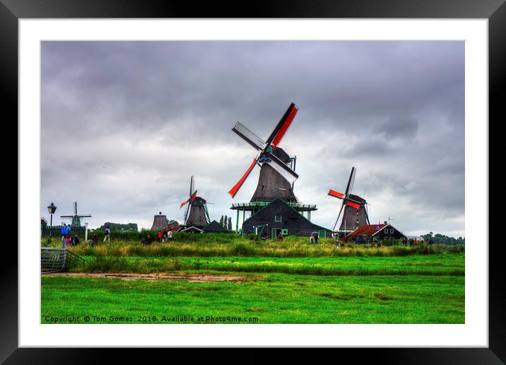 Zaanse Schans Windmills Framed Mounted Print by Tom Gomez