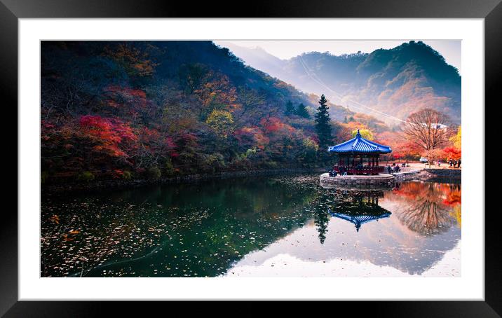 autumn colors reflection  Framed Mounted Print by Ambir Tolang