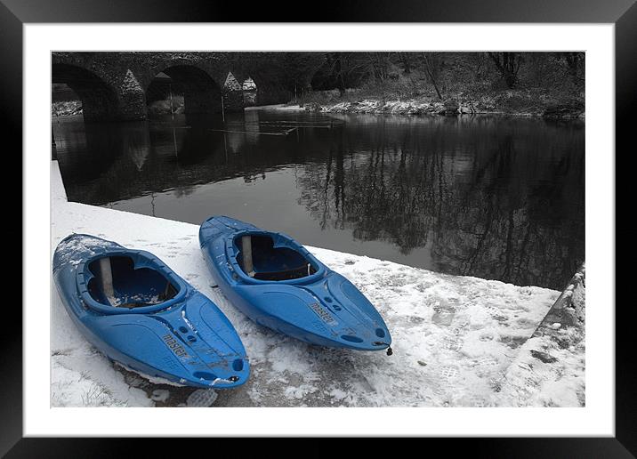 Giant's Slippers in Blue Framed Mounted Print by pauline morris