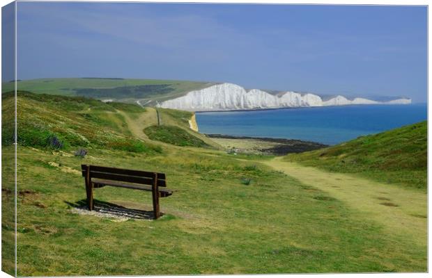 Seven Sisters View Canvas Print by Diana Mower