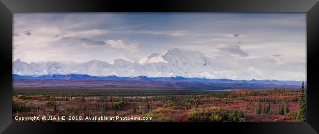 Alaska Denali National Park in autumn Framed Print by JIA HE