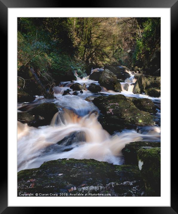 Ness Woods River  Framed Mounted Print by Ciaran Craig
