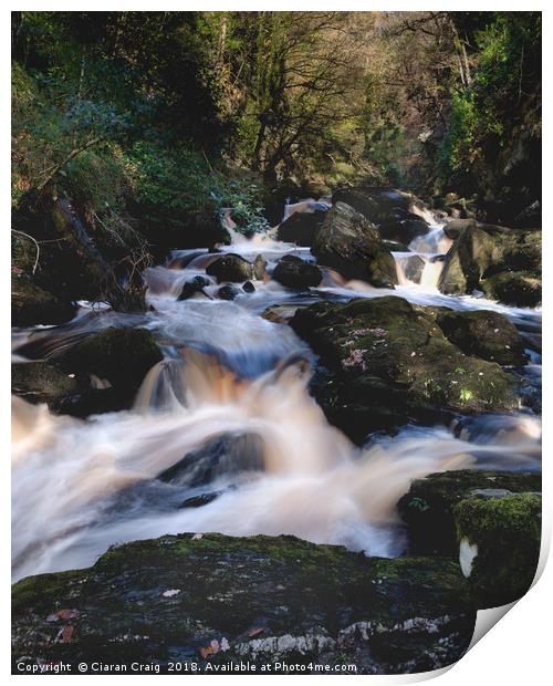 Ness Woods River  Print by Ciaran Craig
