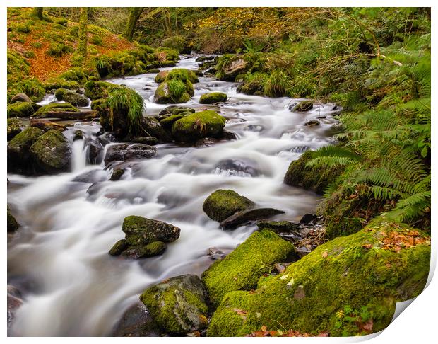 Dolgoch Falls in the Autumn. Print by Colin Allen