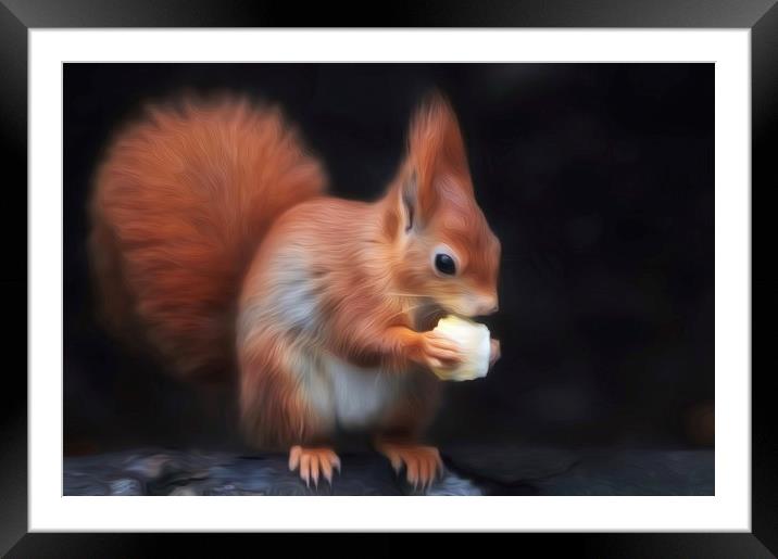 Red squirrel  Framed Mounted Print by Gary Pearson