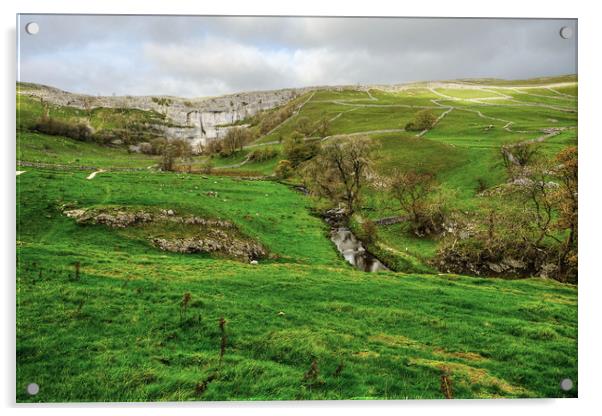 Malham Cove and Hills Acrylic by Diana Mower