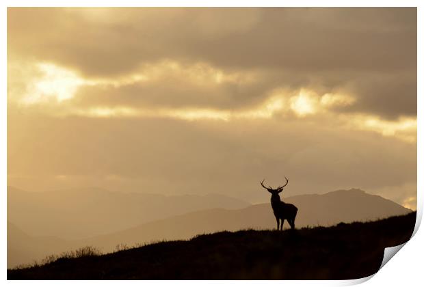 Strathglass Silhouette Print by Macrae Images