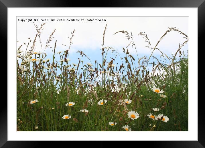 Wild Grass And Flowers Framed Mounted Print by Nicola Clark