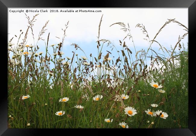 Wild Grass And Flowers Framed Print by Nicola Clark