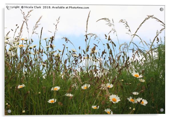 Wild Grass And Flowers Acrylic by Nicola Clark