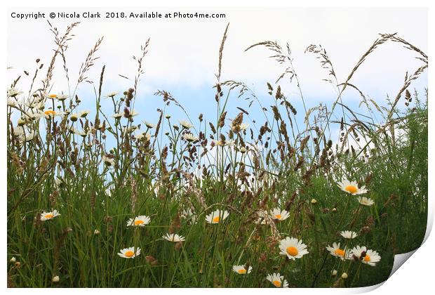 Wild Grass And Flowers Print by Nicola Clark