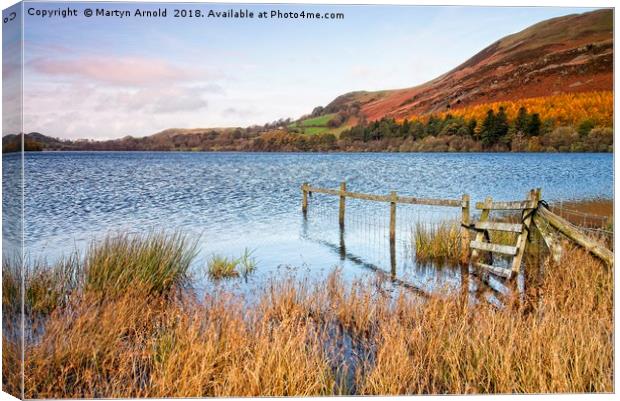 Loweswater in Autumn Canvas Print by Martyn Arnold