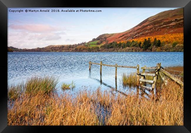 Loweswater in Autumn Framed Print by Martyn Arnold