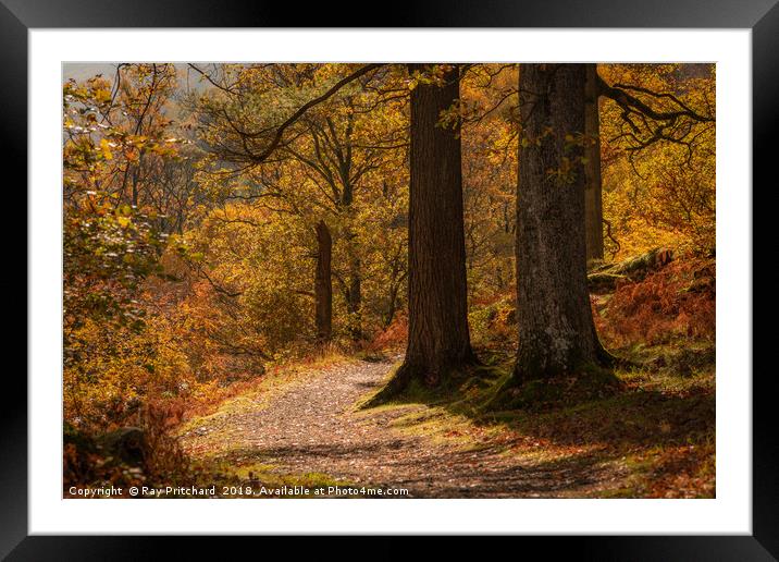 Walk Round Ullswater Framed Mounted Print by Ray Pritchard