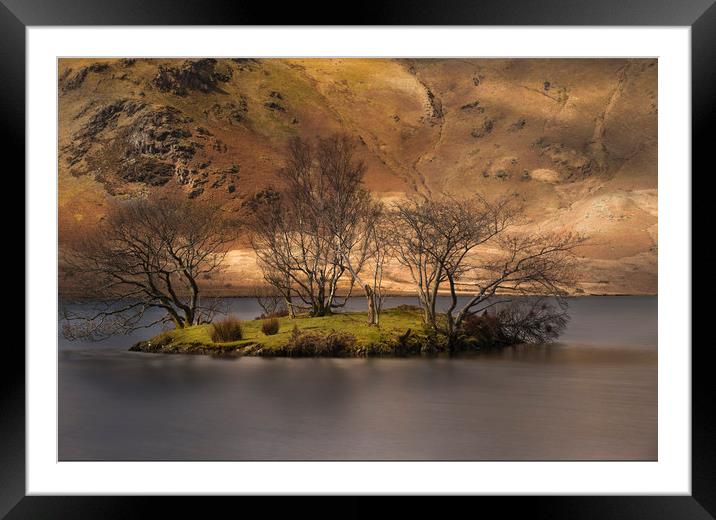 The Island  Framed Mounted Print by Ray Tickle