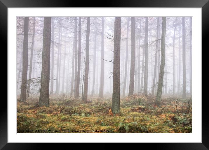 Misty Wood Framed Mounted Print by Martin Williams