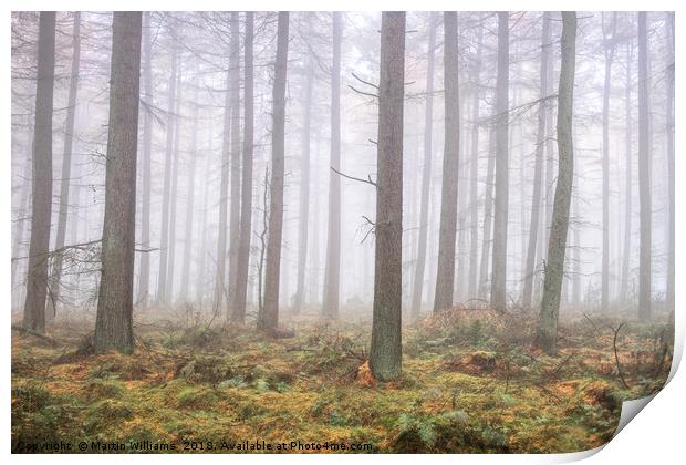Misty Wood Print by Martin Williams