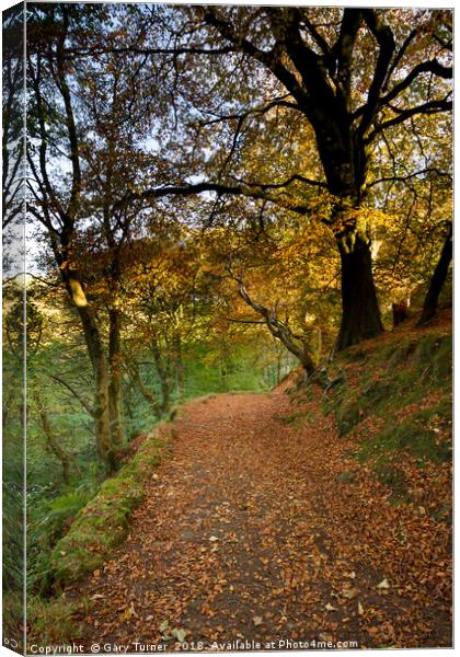 Woods above Hebden Water Canvas Print by Gary Turner