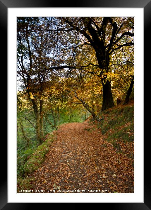 Woods above Hebden Water Framed Mounted Print by Gary Turner