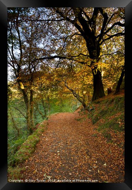 Woods above Hebden Water Framed Print by Gary Turner