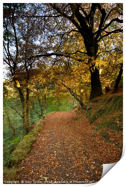 Woods above Hebden Water Print by Gary Turner