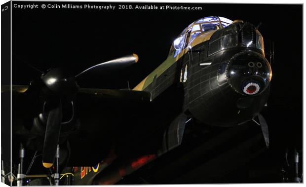 Just Jane at Night 1 Canvas Print by Colin Williams Photography