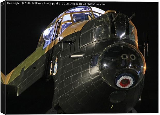 Just Jane at Night 2 Canvas Print by Colin Williams Photography