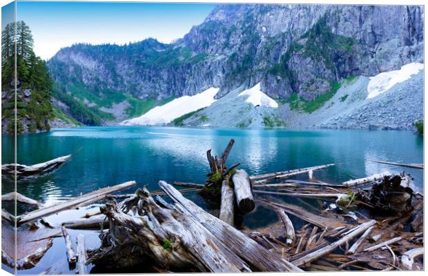 Log jam in front of glacier lake with mountains an Canvas Print by Thomas Baker