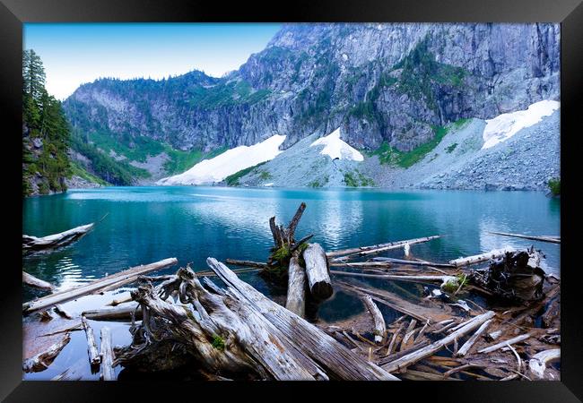 Log jam in front of glacier lake with mountains an Framed Print by Thomas Baker