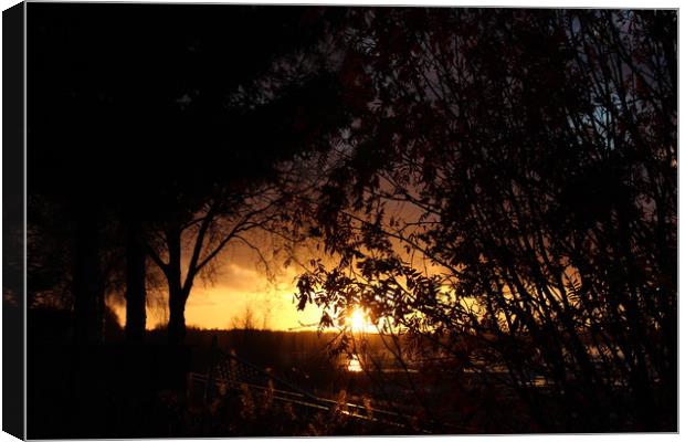 Sunset Through The Trees Canvas Print by Erin Hayes