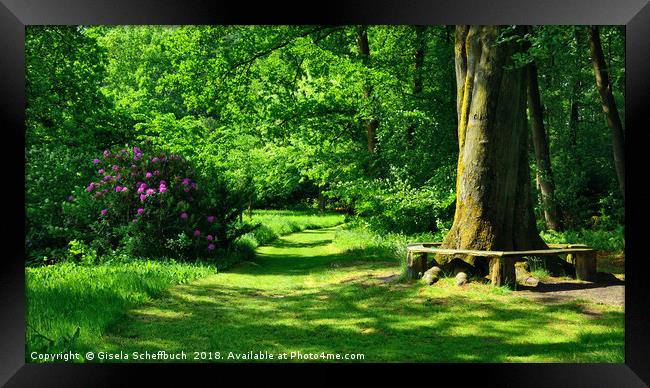 An Idyllic Green Scenery in Breiding's Garden Framed Print by Gisela Scheffbuch