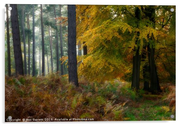 Autumn Mystery Cannock Chase Acrylic by Ann Garrett