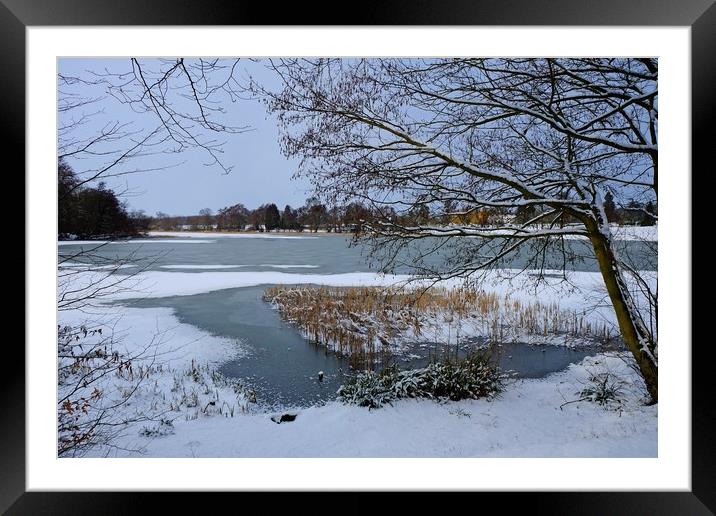 Gosfield Lake Framed Mounted Print by Diana Mower