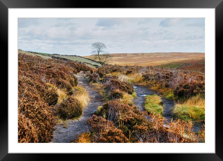 Bronte Country, Yorkshire Framed Mounted Print by Diana Mower