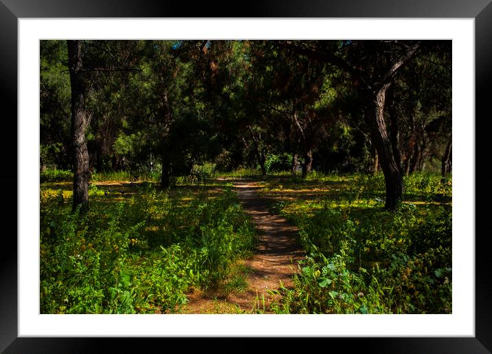 Pigeon Path Framed Mounted Print by Cassi Moghan