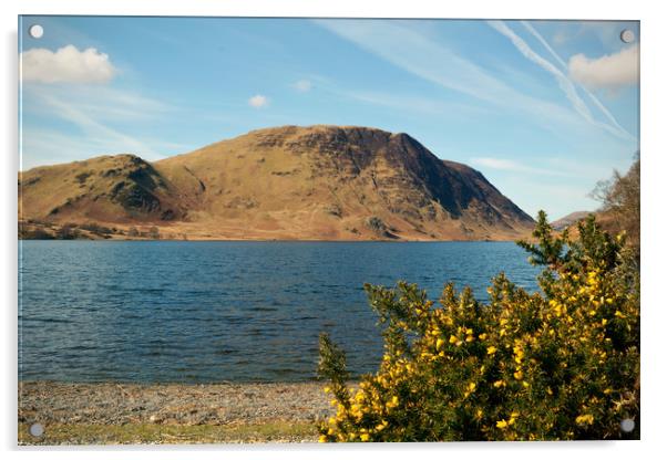 Crummock Water in Springtime Acrylic by graham young